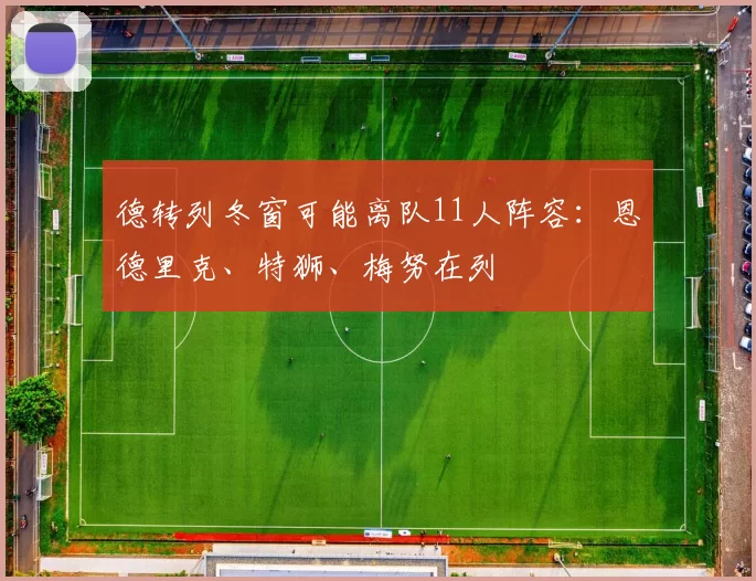 德转列冬窗可能离队11人阵容：恩德里克、特狮、梅努在列