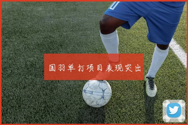 国羽单打项目表现突出